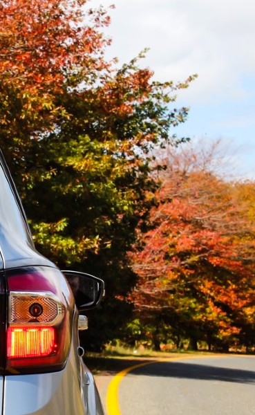 Your benefits at Luxauto as a Redion customer