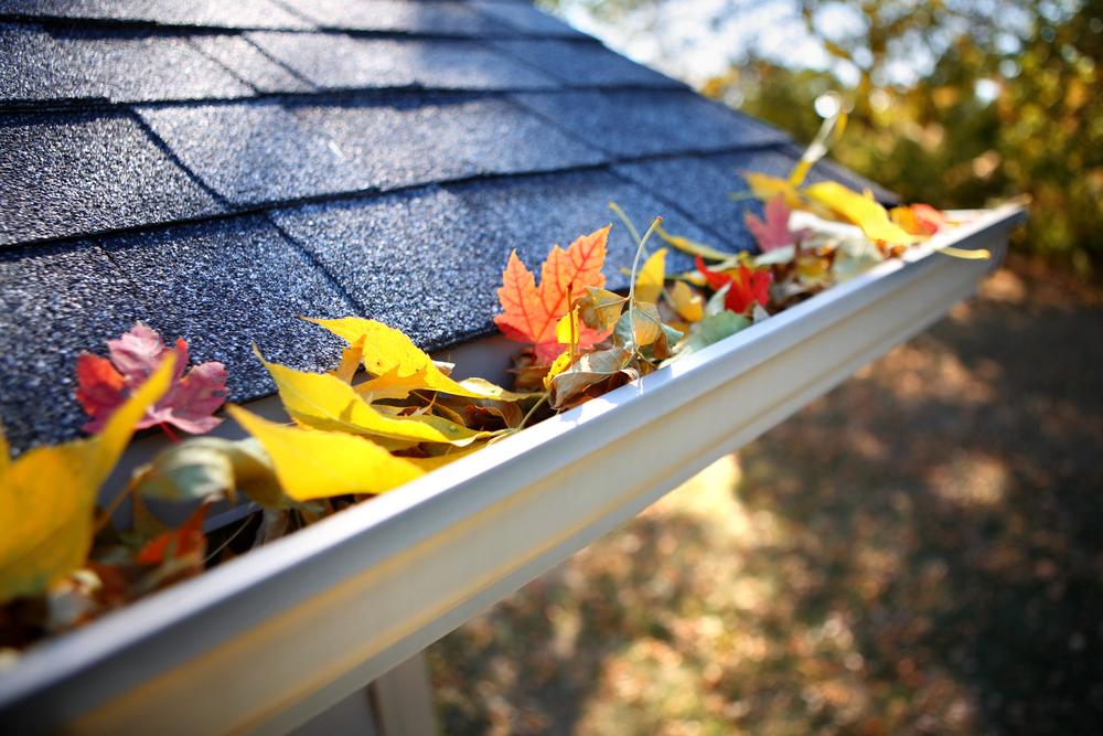 leaves fallen into a gutter in autumn