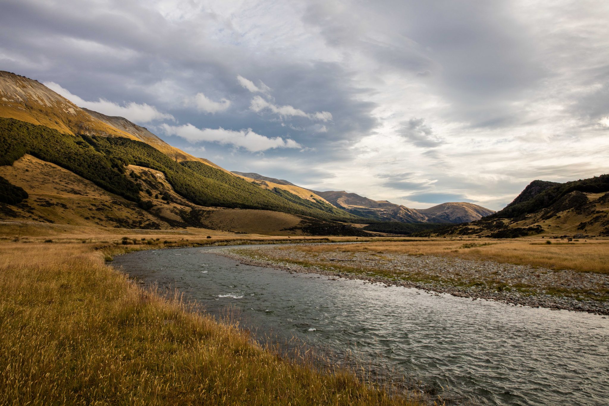 New Zealand2
