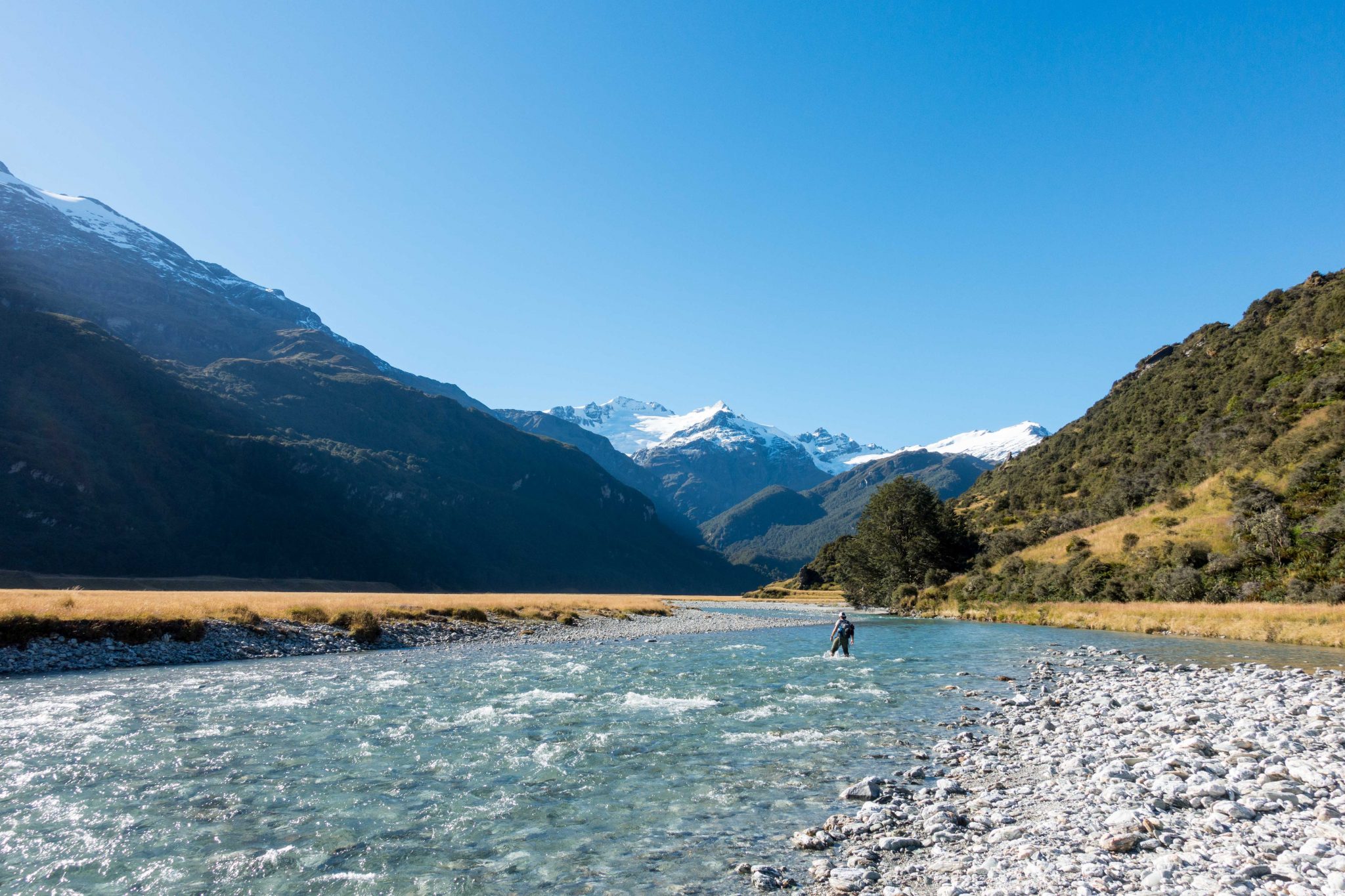 New Zealand4