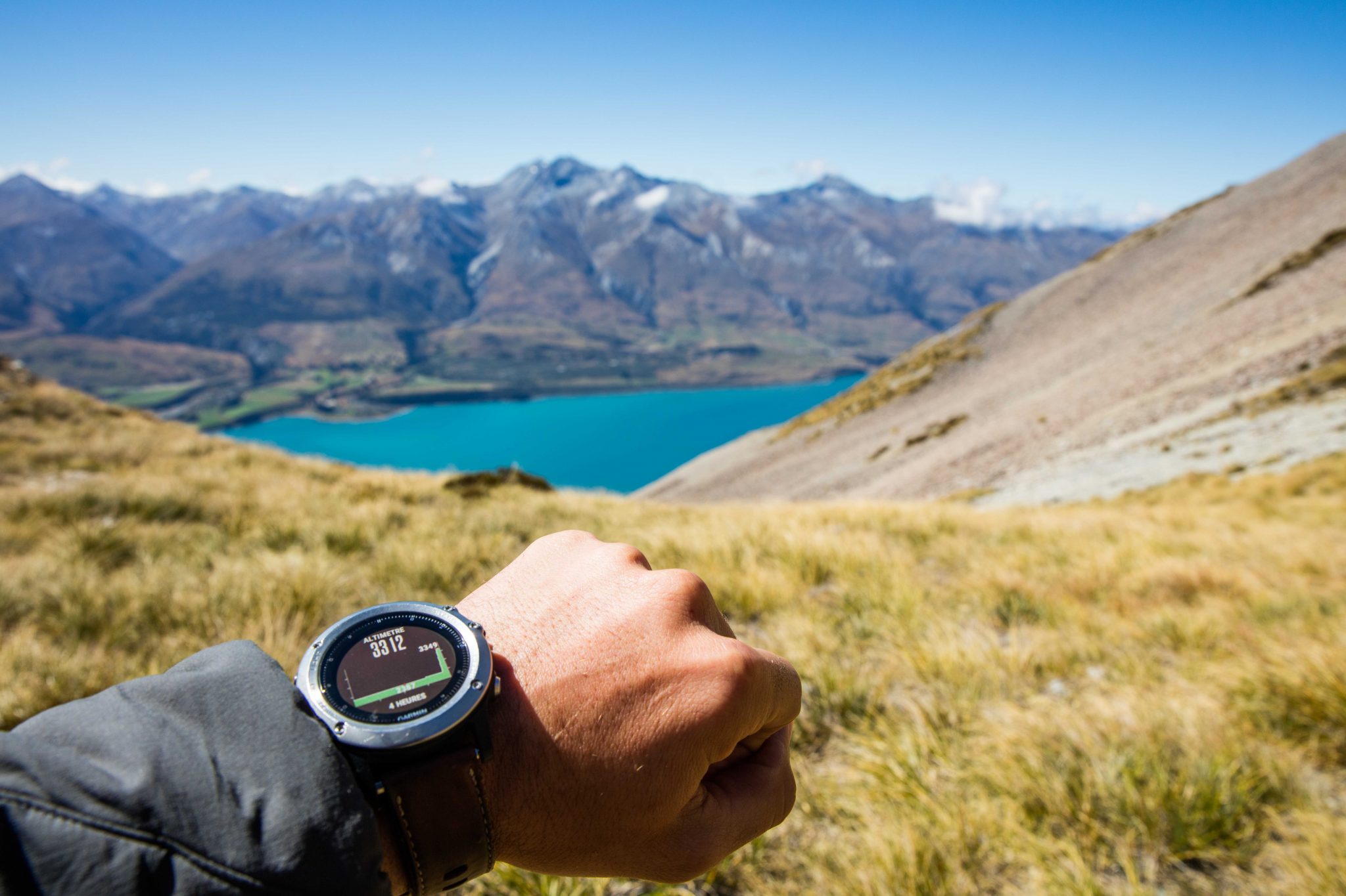 New Zealand6