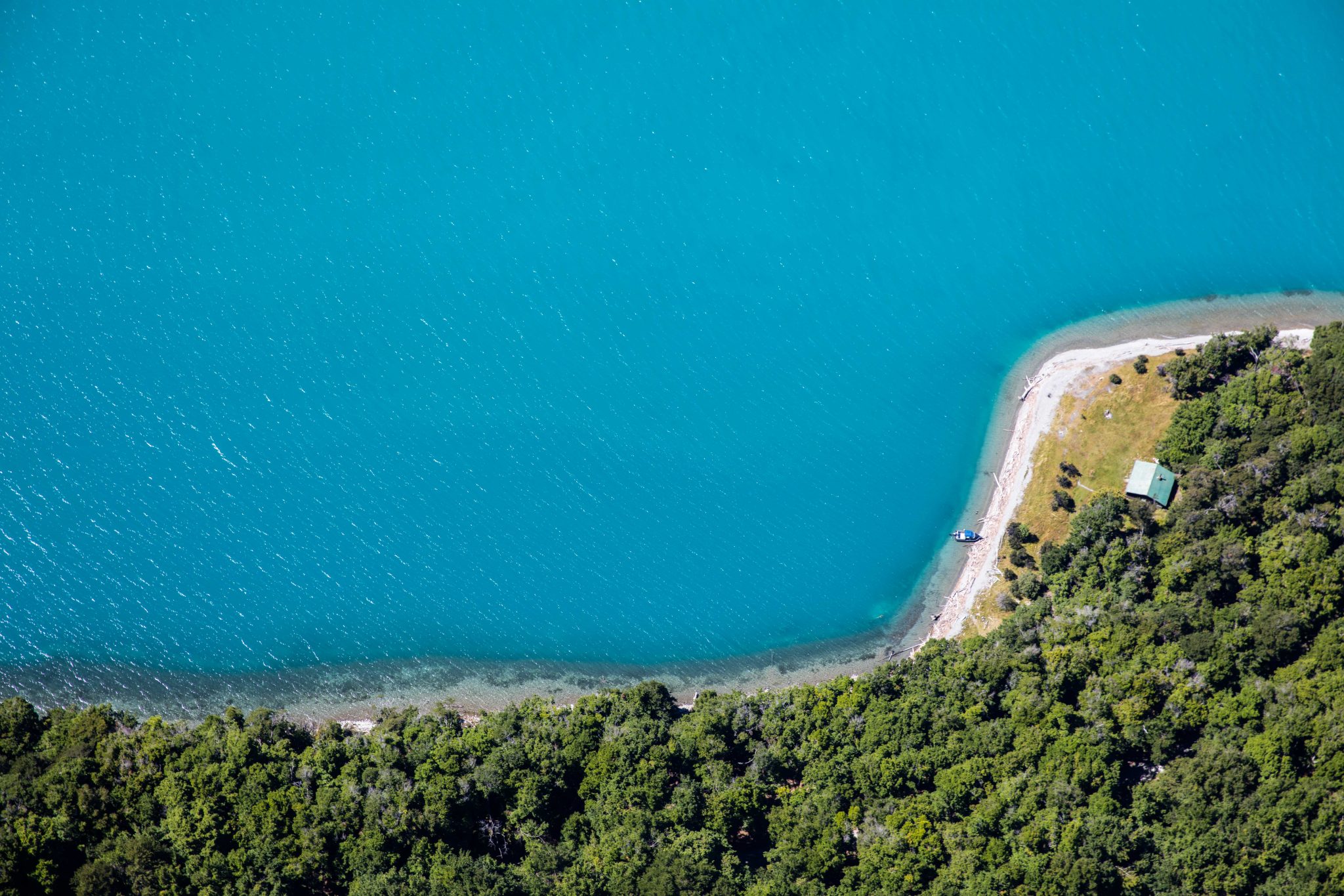 New Zealand8
