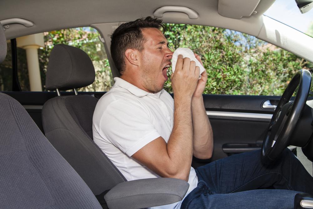 man in his car sneezing because of hay fever