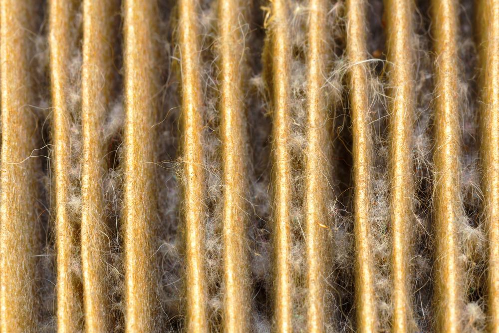 pollen filter