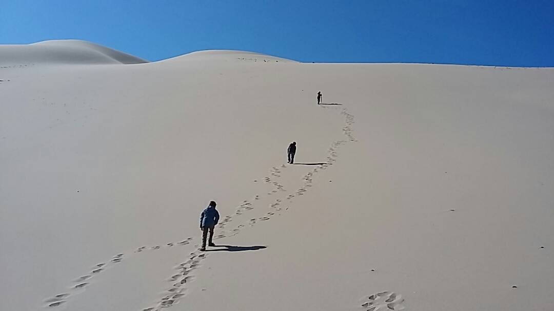 Sibérie-Mongolie12