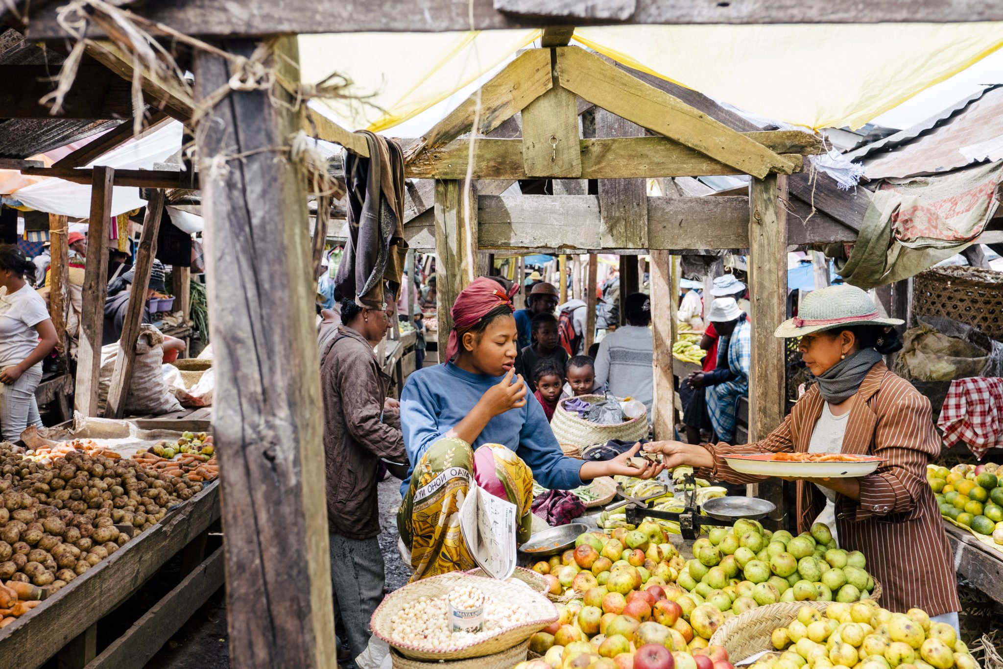 Voyage et alimentation