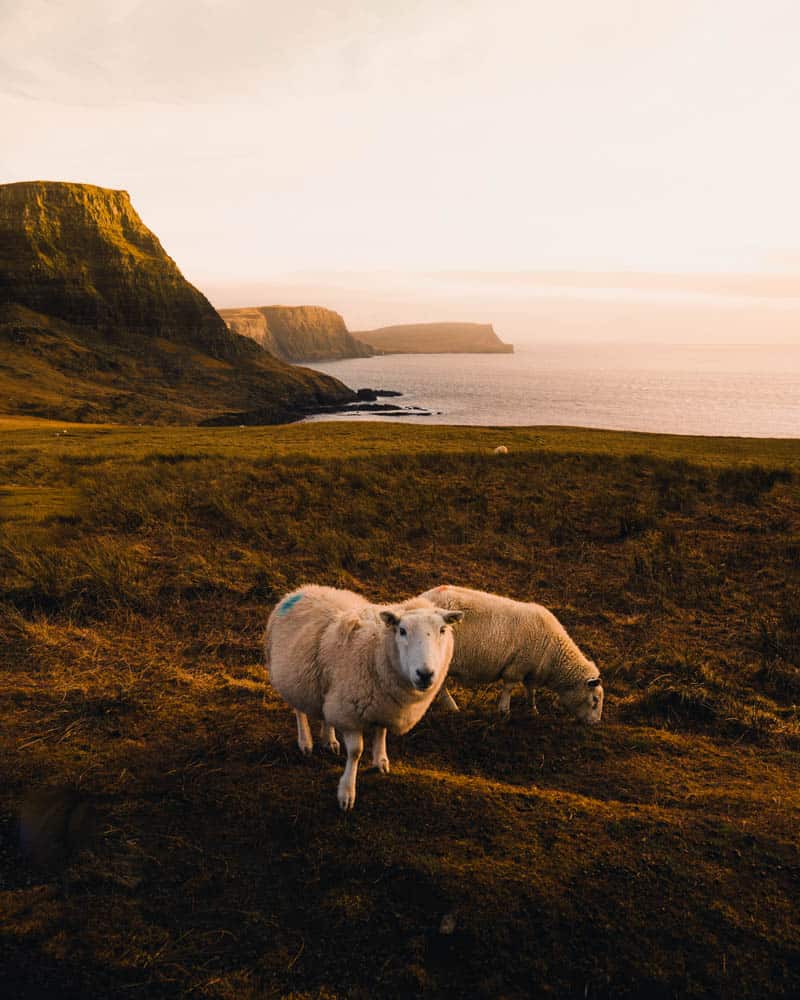 Neist Point