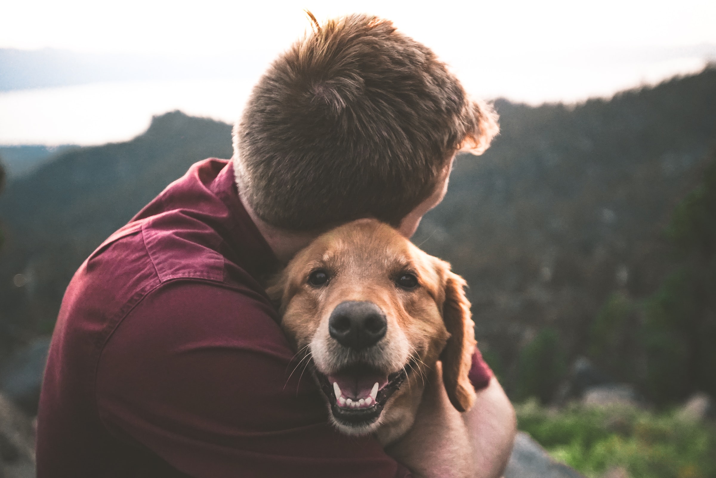young man hugging a dog in the mountains