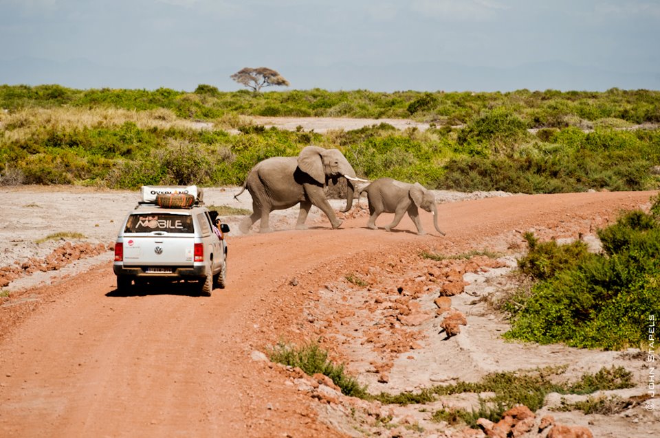 Eco-responsible travel, encounter with elephants in Africa