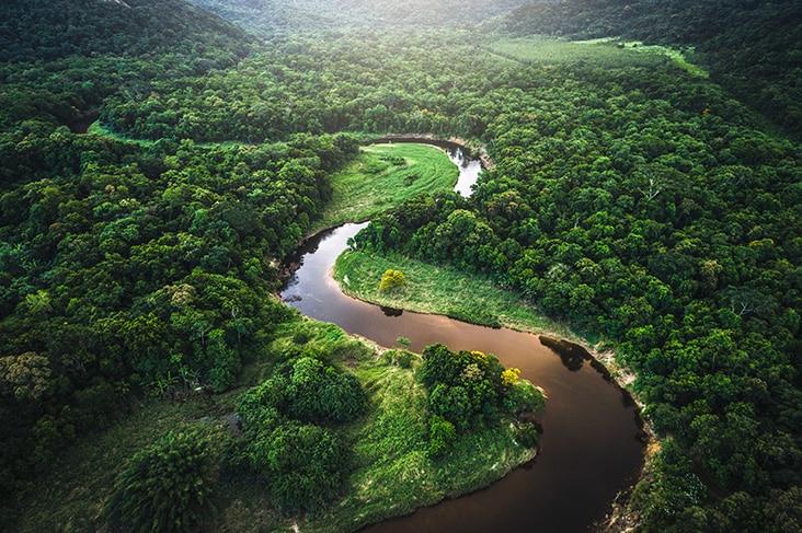 Brazil - Amazon